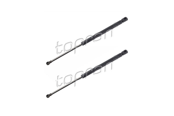 BMW Tailgate Strut Set - 51247060622X2