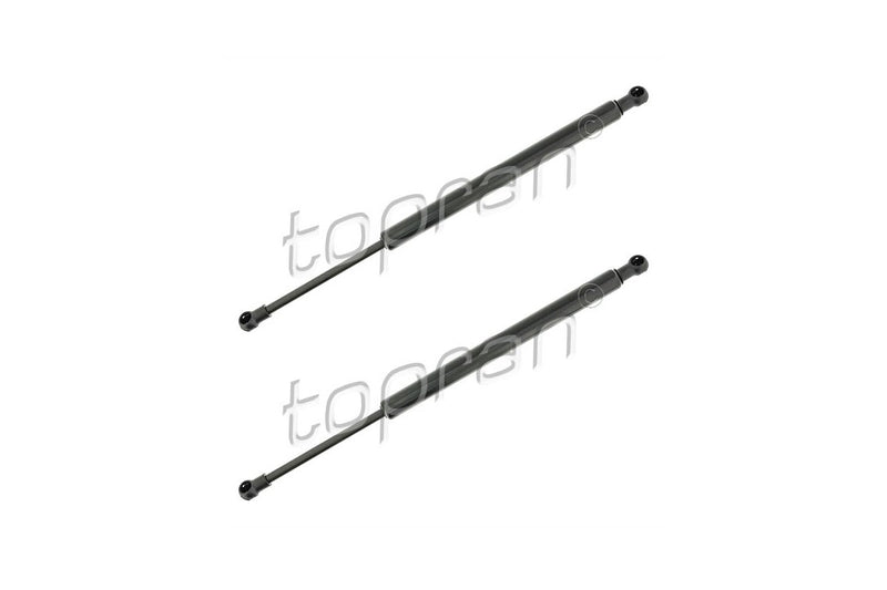 BMW Boot Lid Strut Set - 51247060623X2