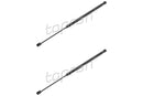 BMW Tailgate Strut Set - 51247127875X2
