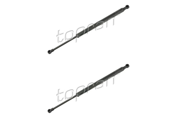 BMW Boot Lid Strut Set - 51247129194X2