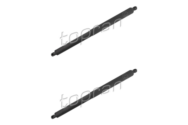 BMW Tailgate Strut Set - 51247294199X2