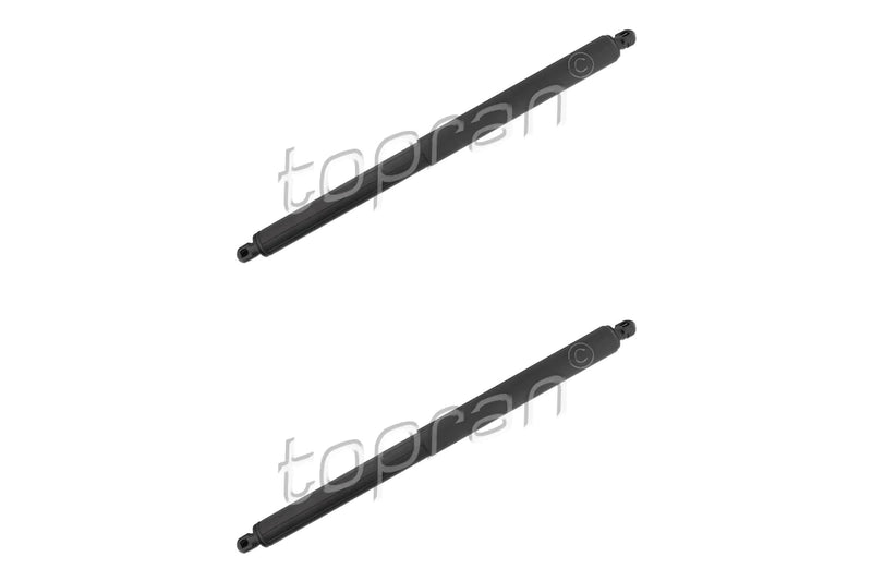 BMW Tailgate Strut Set - 51247294199X2