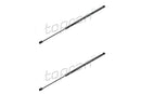 BMW Tailgate Strut Set - 51247456042X2