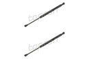 BMW Boot Lid Strut Set - 51248254281X2