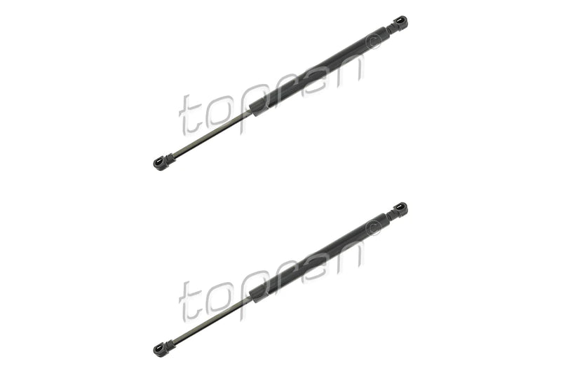 BMW Boot Lid Strut Set - 51248254281X2