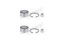 Mercedes Wheel Bearing Set - 6389810027X2